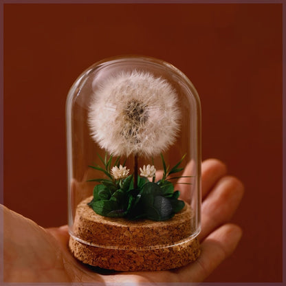 Glass Dome Preserved Dandelion Flower Arrangement - Eternal Floral Keepsake Display Case for Home Office Desk Decor, No Electricity Needed