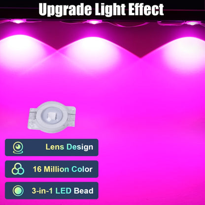 Linked RGB Eave Light Kit from 20ft to 500ft with Plug-In Adapter, App and Handheld Remote