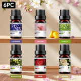Lavender + Cherry Blossom + Vanilla + Eucalyptus + Rose + Jasmine