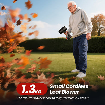 21V Cordless Leaf Blower in Black with 40,000 RPM Marking, Two Battery Packs, Charger Cable and Nozzle Pieces