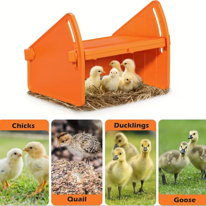 Chick Brooder Plate with Adjustable Height for Up to 10 Chicks | Poultry Warmer for Ducklings, Turkeys, Goslings & Quail – Low-Voltage 120V, Durable Plastic, Orange or Yellow