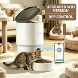 Upgraded WiFi Version