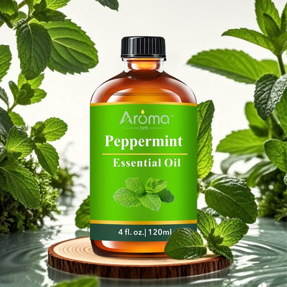Essential Oil Peppermint 120ml or 10ml Ceramic-Stone Set for Diffuser, Candle and Car Fragrance