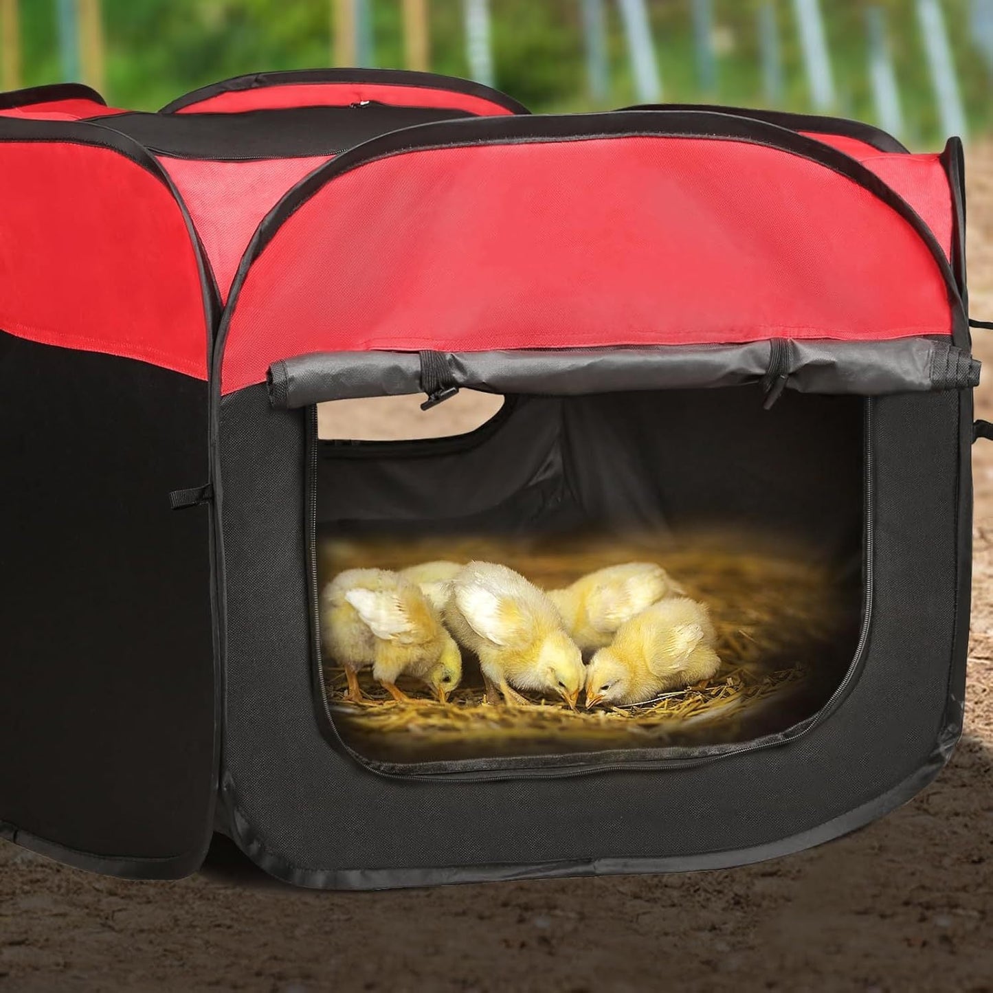 Chicken Brooder Tent Bundle | Chick Playpen Feeder Waterer Perch Kit
