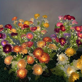 5pcs Snow Lotus Multicolor