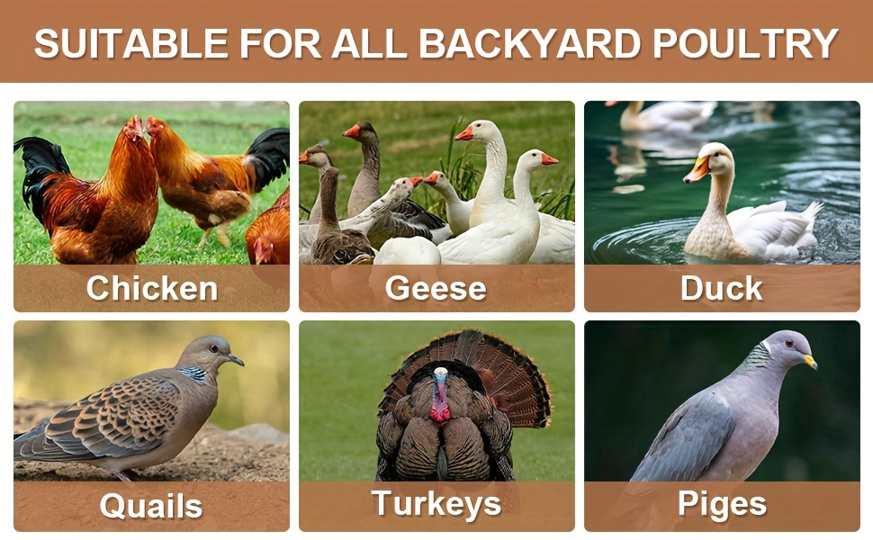 Hose-Connected Automatic Poultry Waterer with Float Valve, Four Cups and Red or Teal Color Options