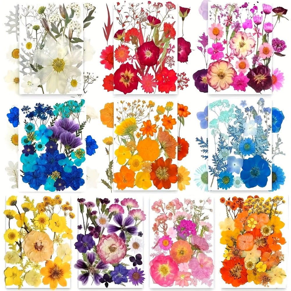 500-Piece Natural Dried Pressed Flower and Leaf Assortment for Resin, Scrapbooks, Cards and DIY Crafts