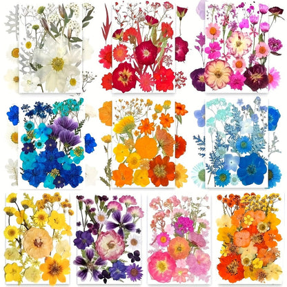500-Piece Natural Dried Pressed Flower and Leaf Assortment for Resin, Scrapbooks, Cards and DIY Crafts