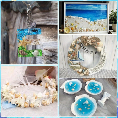 Tiny Seashells Starfish Bulk Set Beach Decor Crafts Vase Filler for Entryways, Bedrooms and Living Spaces