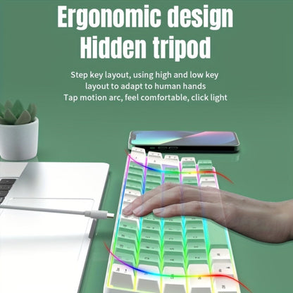 Compact Wired Gaming Keyboard in 61-Key and 68-Key Layouts with Ten Color and Mouse Options