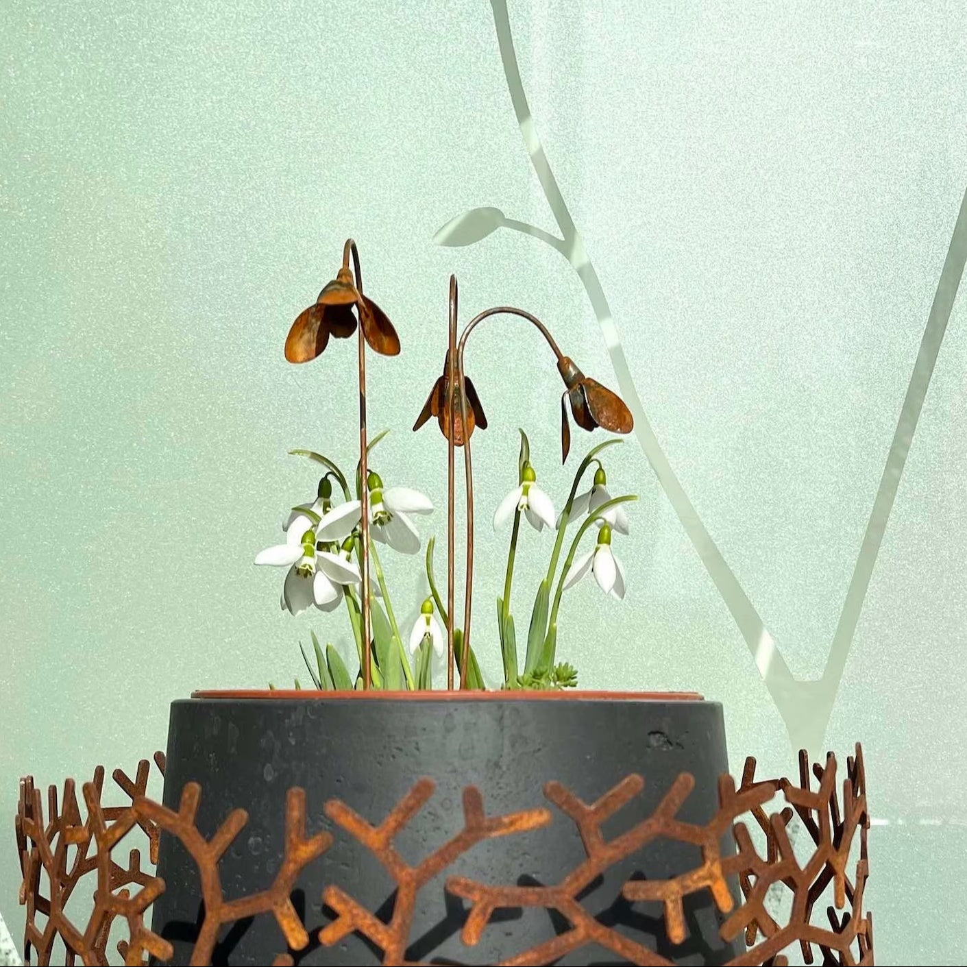 Rustic Metal Snowdrop Garden Stakes, Three-Piece Curved Flower Set with 25 cm Stems for Pots and Borders