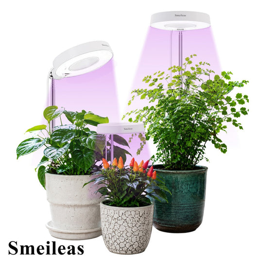 Full Spectrum LED Grow Lights for Indoor Plants – 3-Pack with Auto Timer 3/6/9H, 4 Dimmable Levels & Adjustable Height | Desk Lamp for Seedlings, Herbs, Succulents & Houseplants