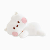 RJ