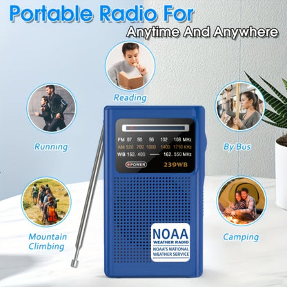 Portable AM/FM/NOAA Weather Radio with 2-AA Battery Power, Earphone Jack and Three Color Options