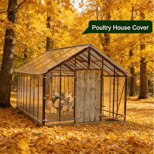 Clear Tarp Heavy Duty Transparent | Patio Carport Chicken Coop Cover