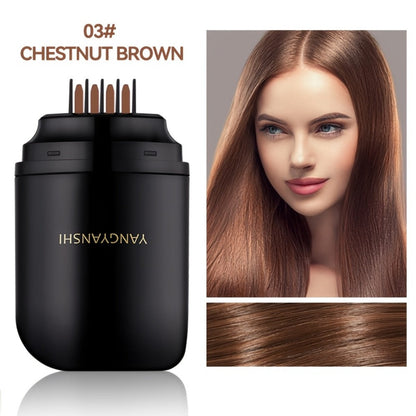 Instant Root Touch-Up Hair Color Stick in Natural Black or Black Brown and Three Checkout Options