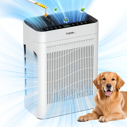 Air Purifier with H13 HEPA Filter, 2500 Sq Ft Coverage, PM2.5 Sensor, 22dB Mode and Two Colors