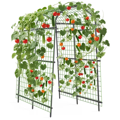 Garden Arch Trellis 7.5ft Tall Metal Climbing Plant Support with Netting for Vegetables Flowers Roses Outdoor Pergola Arbor Wedding Party Decoration Black