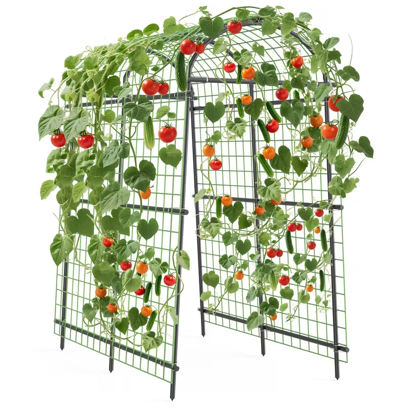 Garden Arch Trellis 7.5ft Tall Metal Climbing Plant Support with Netting for Vegetables Flowers Roses Outdoor Pergola Arbor Wedding Party Decoration Black