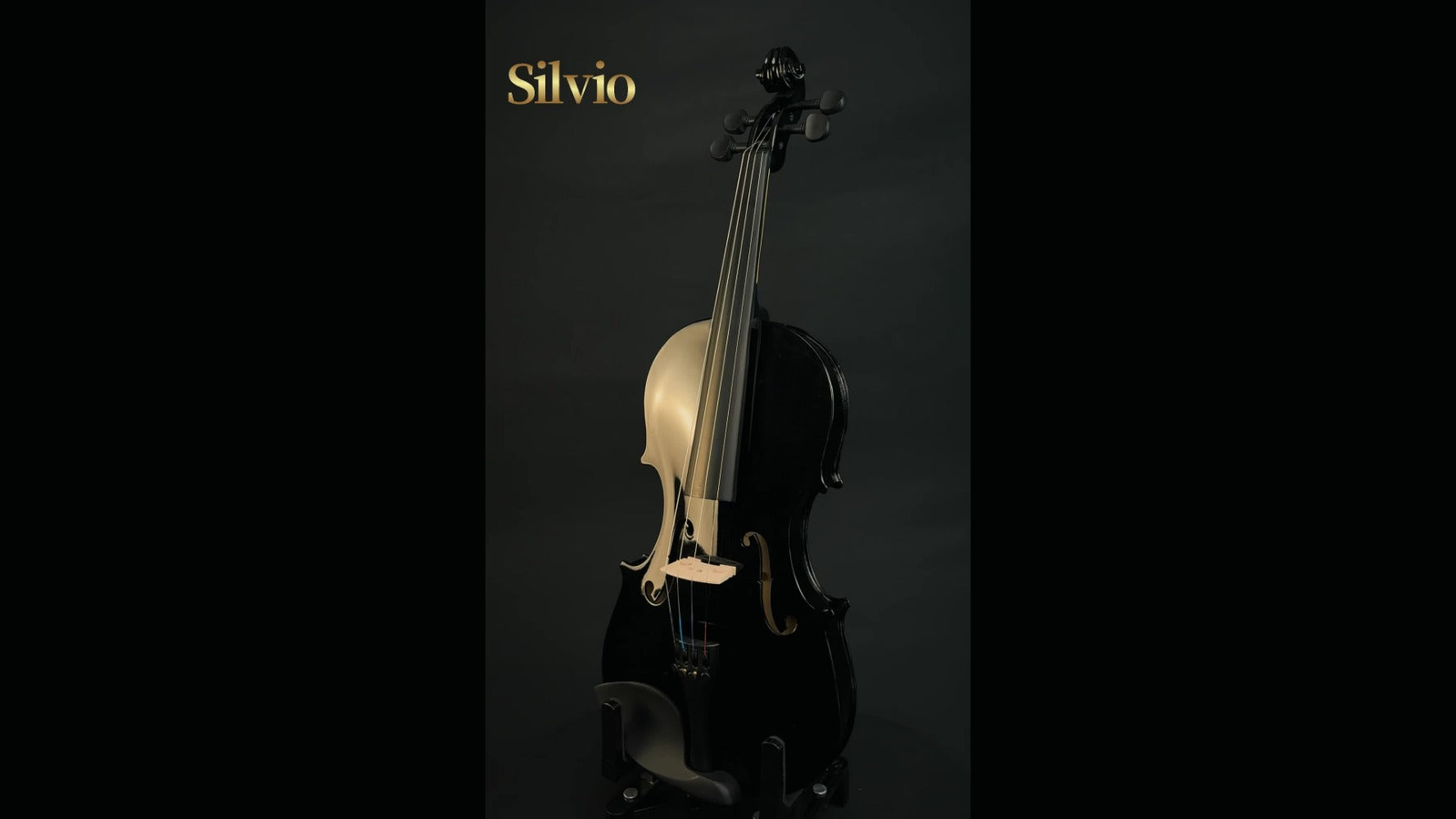 Full Size 4/4 Violin Kit, Black Beginner Violin with Hard Case and Bows detail image - detail view 9