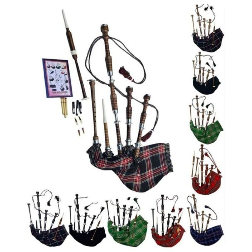 Great Highland Bagpipe, 2 pcs, Full Size, HAAUR, TRADERS for Practice and Performance detail image - detail view 6