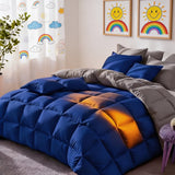 Royal Blue-Grey
