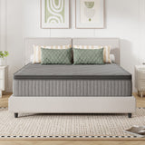 10in Gray