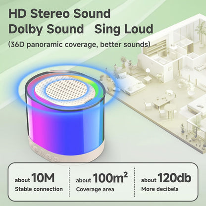 Portable PA Speaker, 10W, Wireless, USB-C, Two, Microphones for Parties and Karaoke detail image - detail view 13