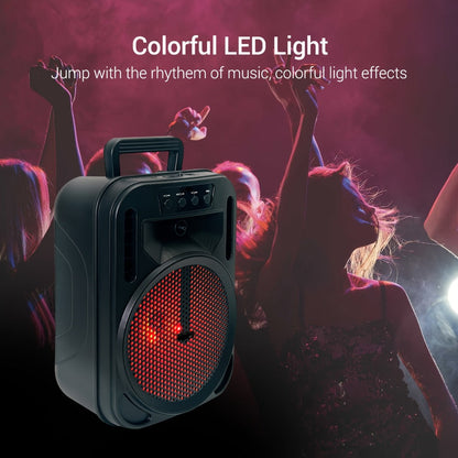 Portable PA Speaker, 4000W, Bluetooth, Wireless, Rechargeable for Parties and Karaoke detail image - detail view 12