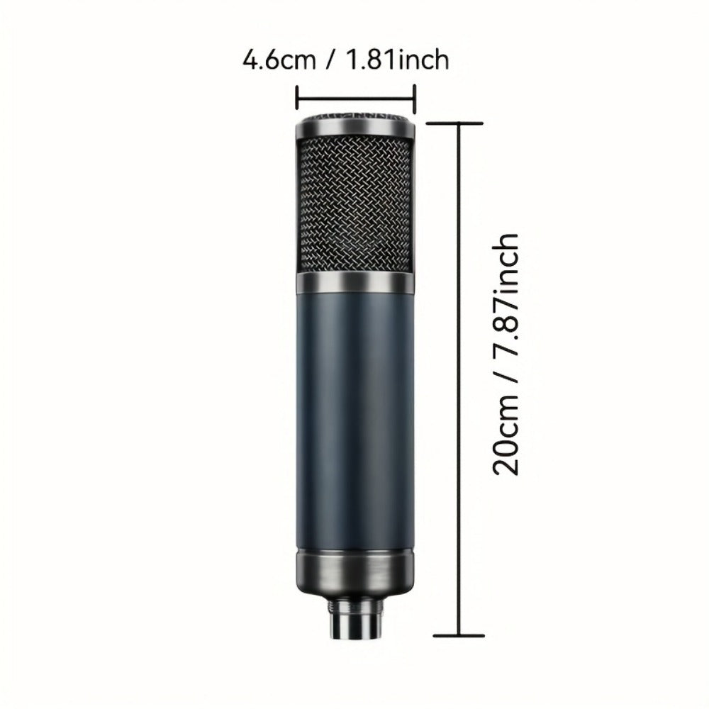 Recording Microphone, Cardioid, Condenser, F22, Metal for Recording and Streaming detail image