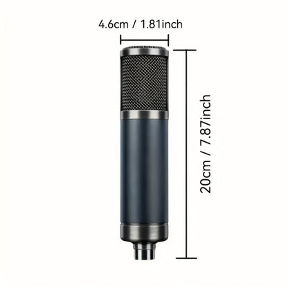 Recording Microphone, Cardioid, Condenser, F22, Metal for Recording and Streaming detail image