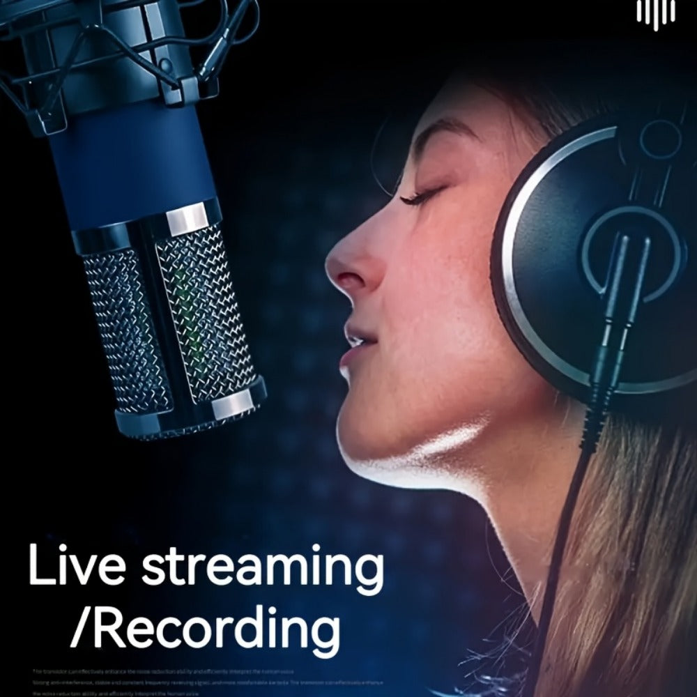 Recording Microphone, Cardioid, Condenser, F22, Metal for Recording and Streaming detail image - detail view 5