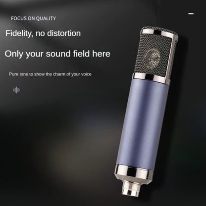 Recording Microphone, Cardioid, Condenser, F22, Metal for Recording and Streaming detail image - detail view 6