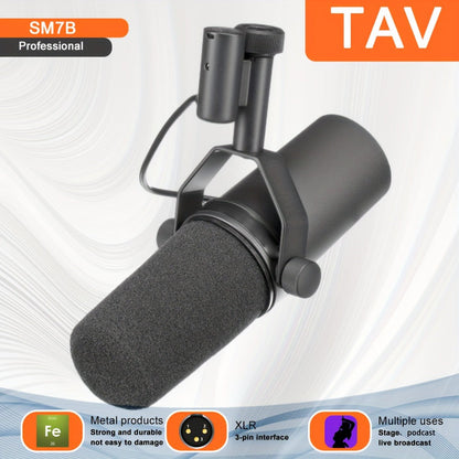 Recording Microphone shown in the main product view