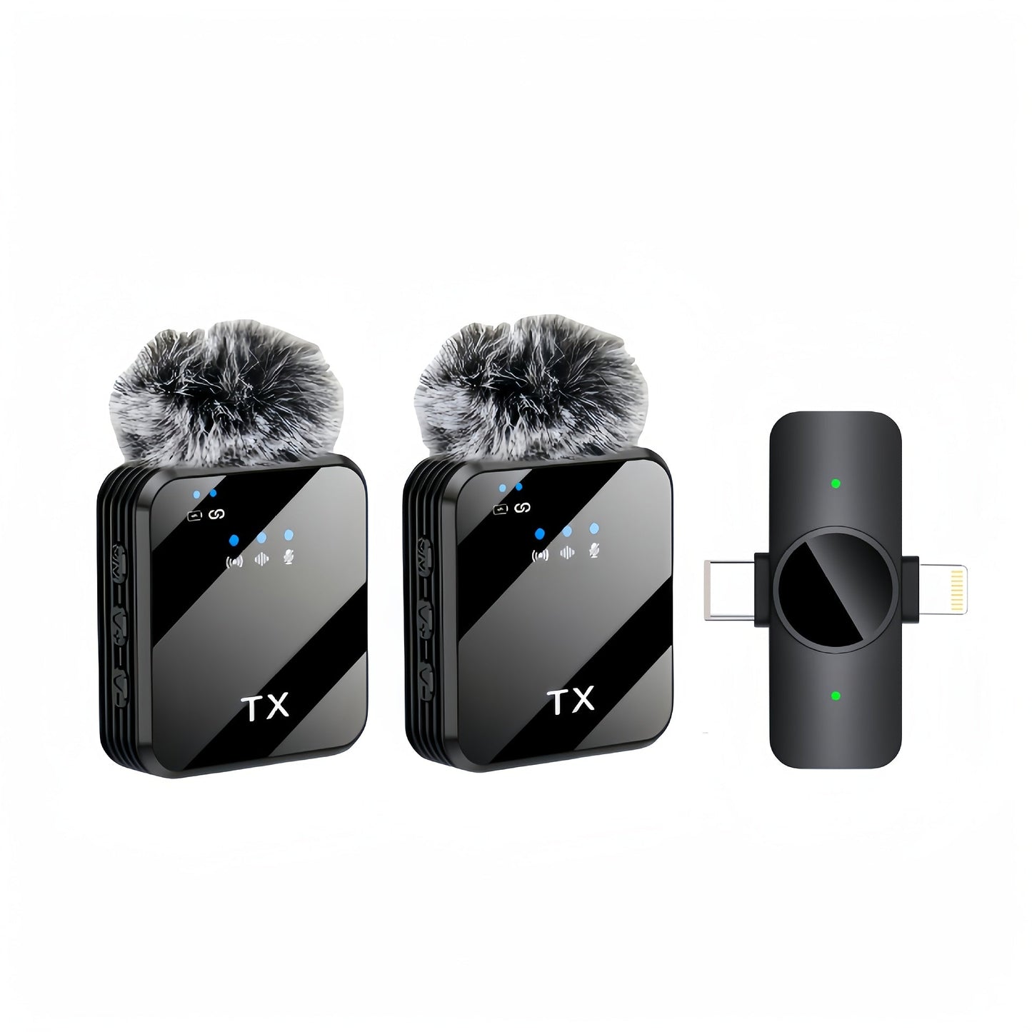 Recording Microphone shown in the Two Microphones option