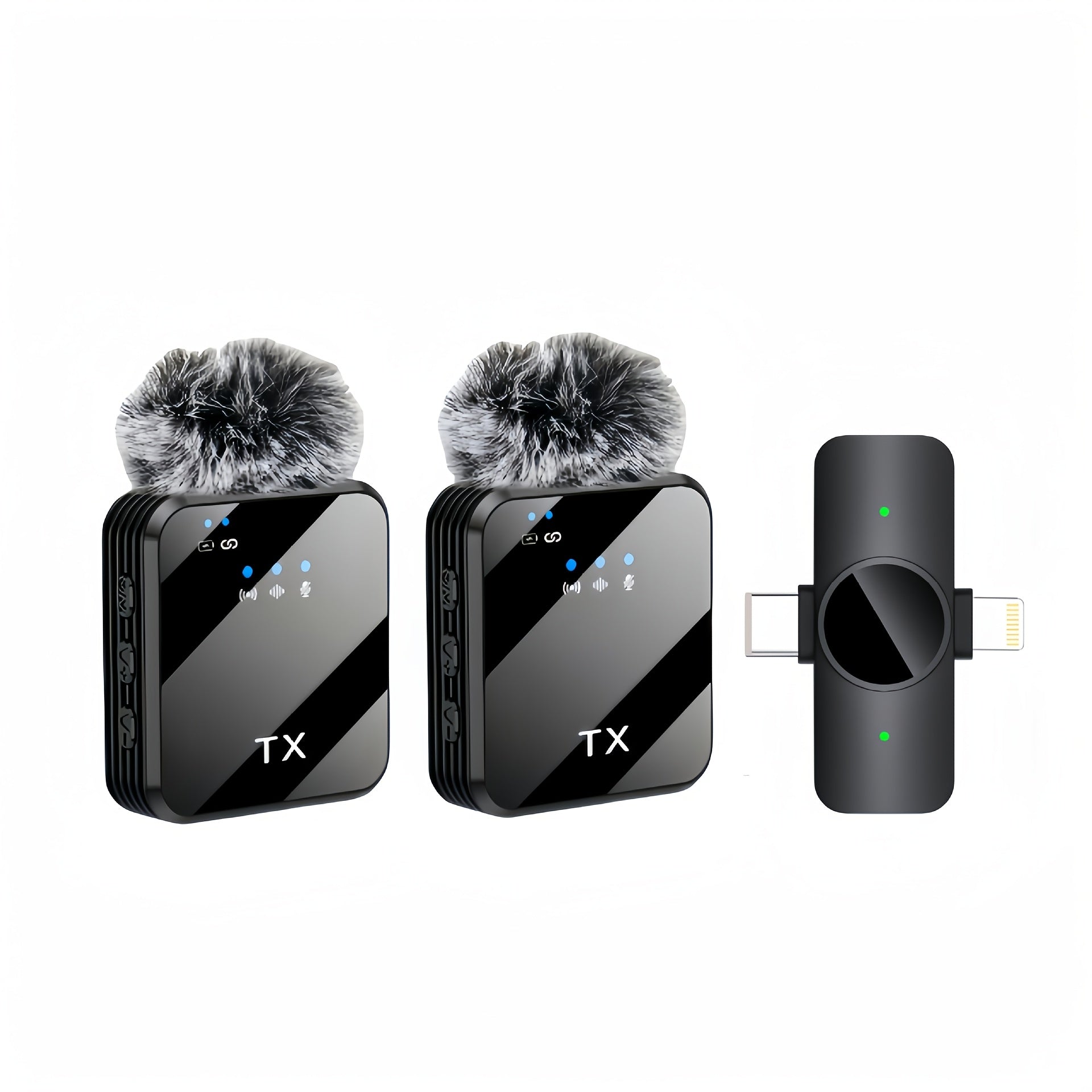 Recording Microphone shown in the Two Microphones option