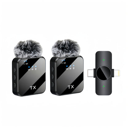 Recording Microphone shown in the Two Microphones option