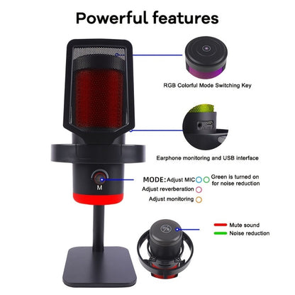 Recording Microphone, USB, Condenser, XLR, Podcast for Recording and Streaming detail image - detail view 11