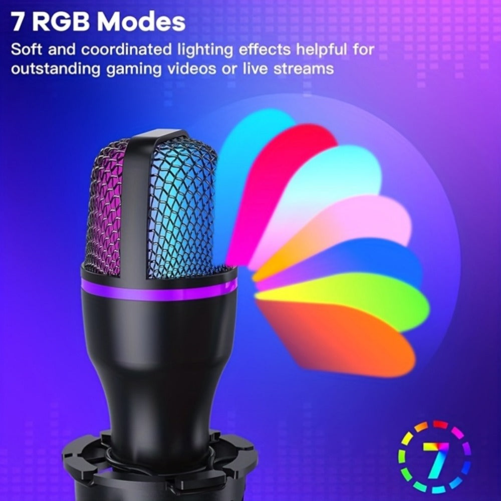 Recording Microphone, USB, USB-C, Capacitive, Portable for Recording and Streaming detail image