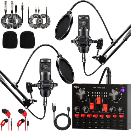 USB Audio Interface shown in the V8K+BM800 Black*2 option