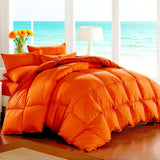 carrot orange(Thanksgiving)