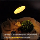 Warm White