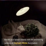 Daylight White
