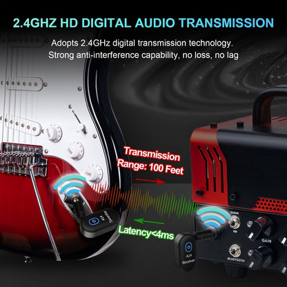 Wireless Instrument System, Rechargeable, 2.4 GHz Wireless for Wireless Connection Between detail image - detail view 16