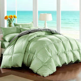 Sage Green/Grey